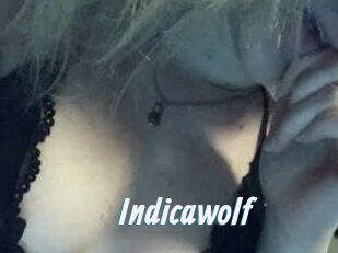 Indicawolf