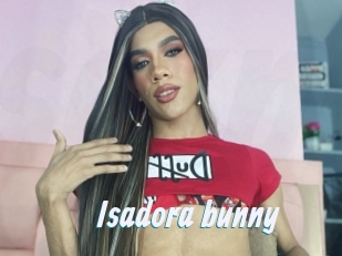 Isadora_bunny