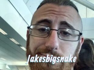 Jakesbigsnake