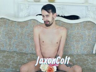 JaxonColt