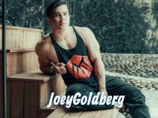 JoeyGoldberg