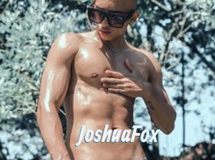 JoshuaFox
