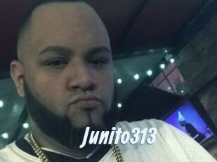 Junito313