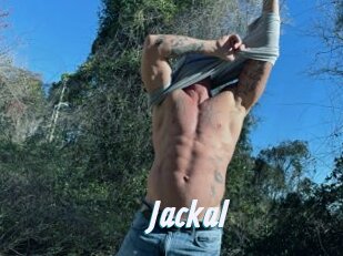 Jackal