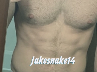 Jakesnake14