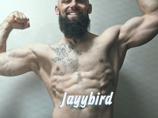 Jayybird