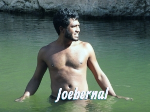 Joebernal