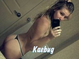 Kaebug