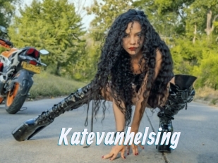 katevanhelsing Sexe Express