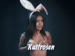 Kattrosen