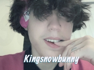 Kingsnowbunny