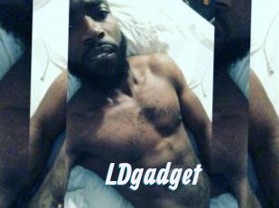 LDgadget