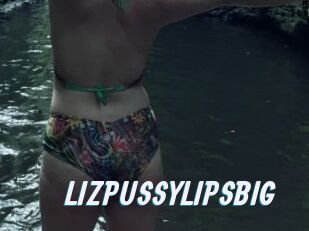 LIZPUSSYLIPSBIG