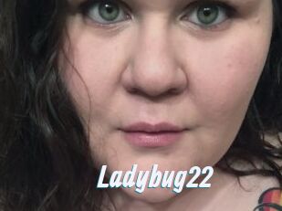 Ladybug22