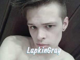 LapkinGray