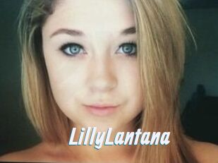 LillyLantana