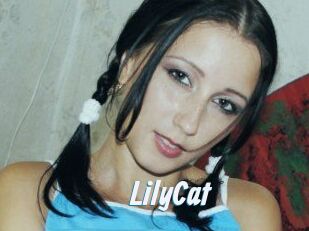 Lily_Cat_