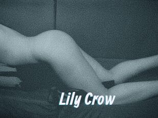 Lily_Crow