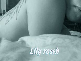 Lily_roseh