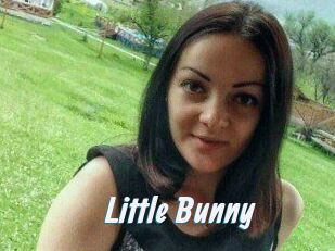 Little_Bunny_