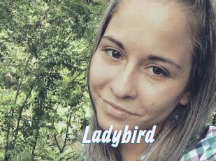 Ladybird