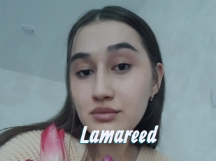 Lamareed