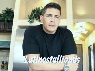 Latinostallionus