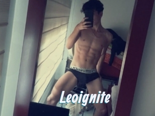 Leoignite