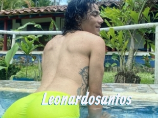 Leonardosantos