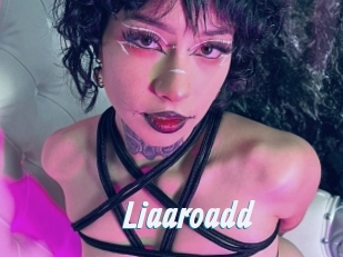Liaaroadd