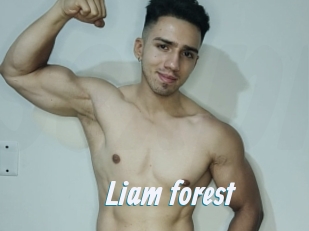 Liam_forest