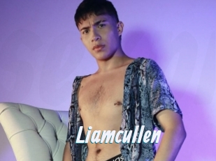 Liamcullen