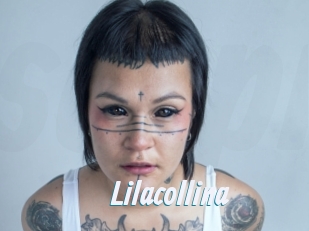 Lilacollina
