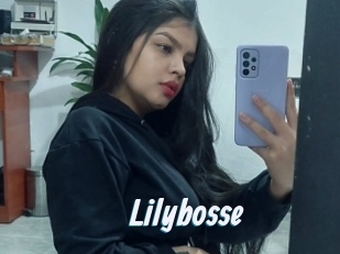 Lilybosse