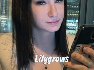 Lilygrows