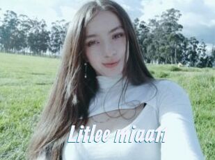 Litlee_miaa11