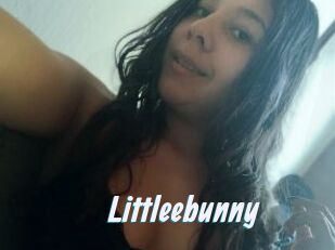 Littleebunny