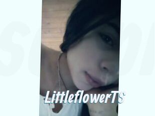 LittleflowerTS
