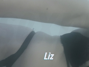 Liz