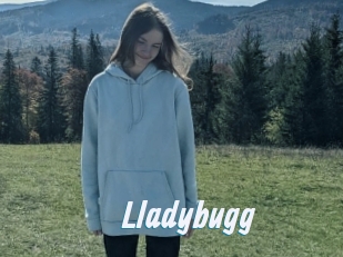 Lladybugg