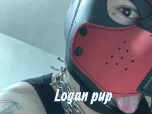Logan_pup