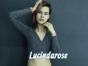 Lucindarose