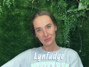 Lynfudge