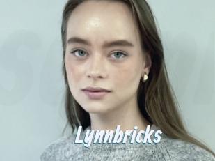 Lynnbricks