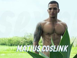 MATIUS_COSLINK
