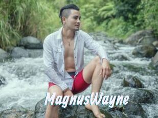 MagnusWayne