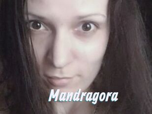 Mandragora