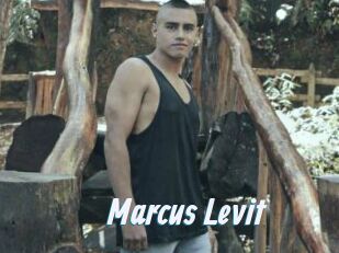 Marcus_Levit