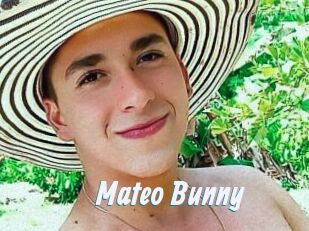 Mateo_Bunny
