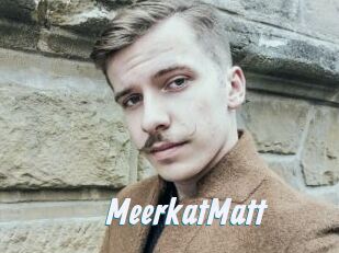 MeerkatMatt